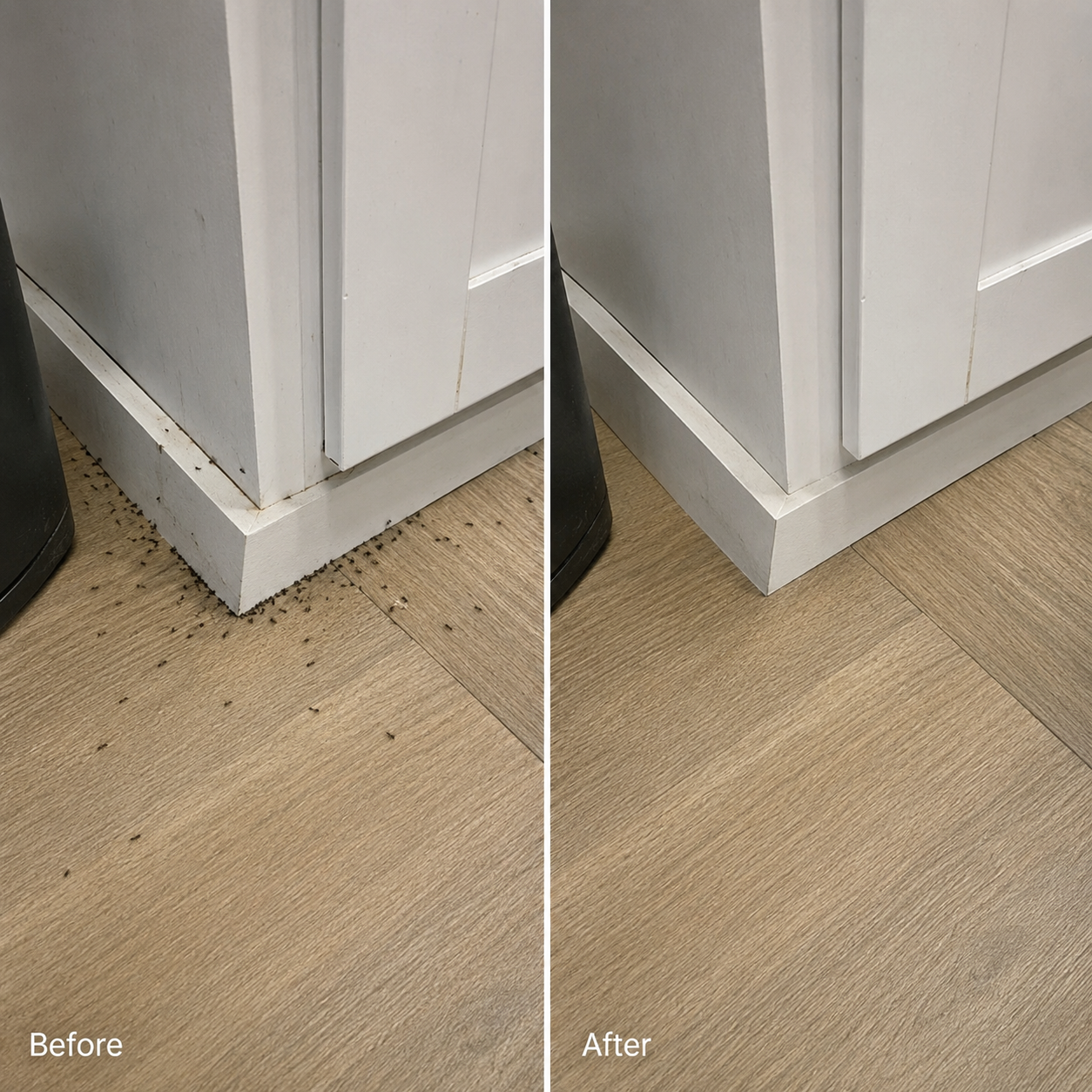 Before and after image