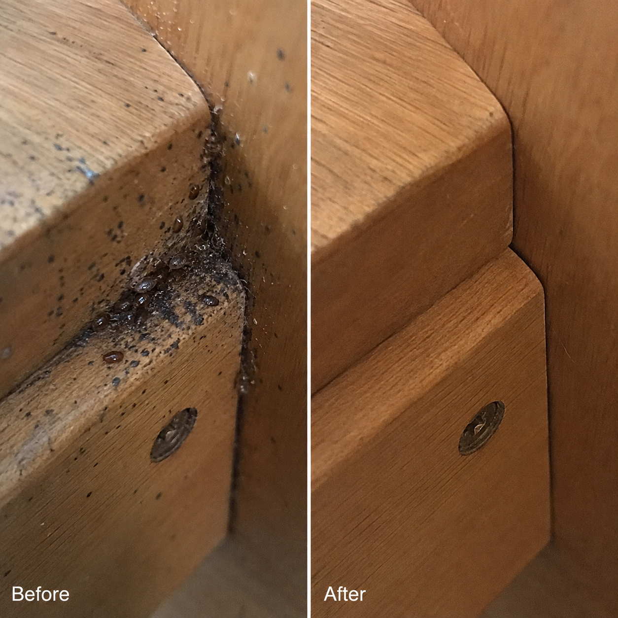 Before and after image