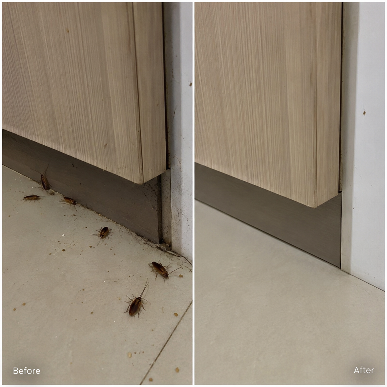 Before and after image
