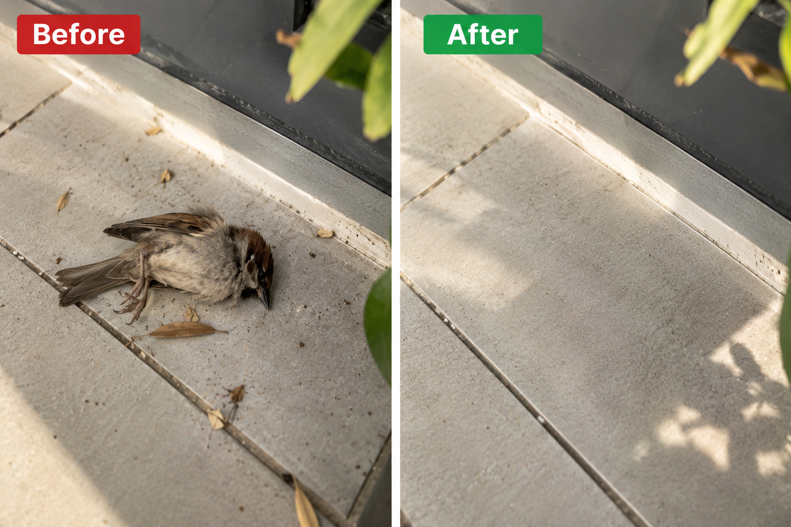 Before and after image