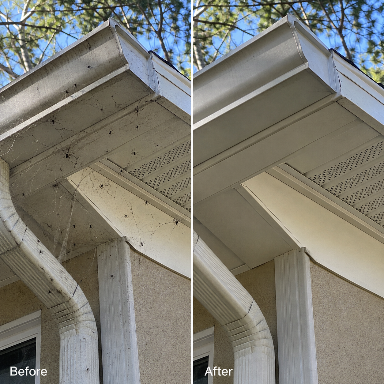 Before & After Images