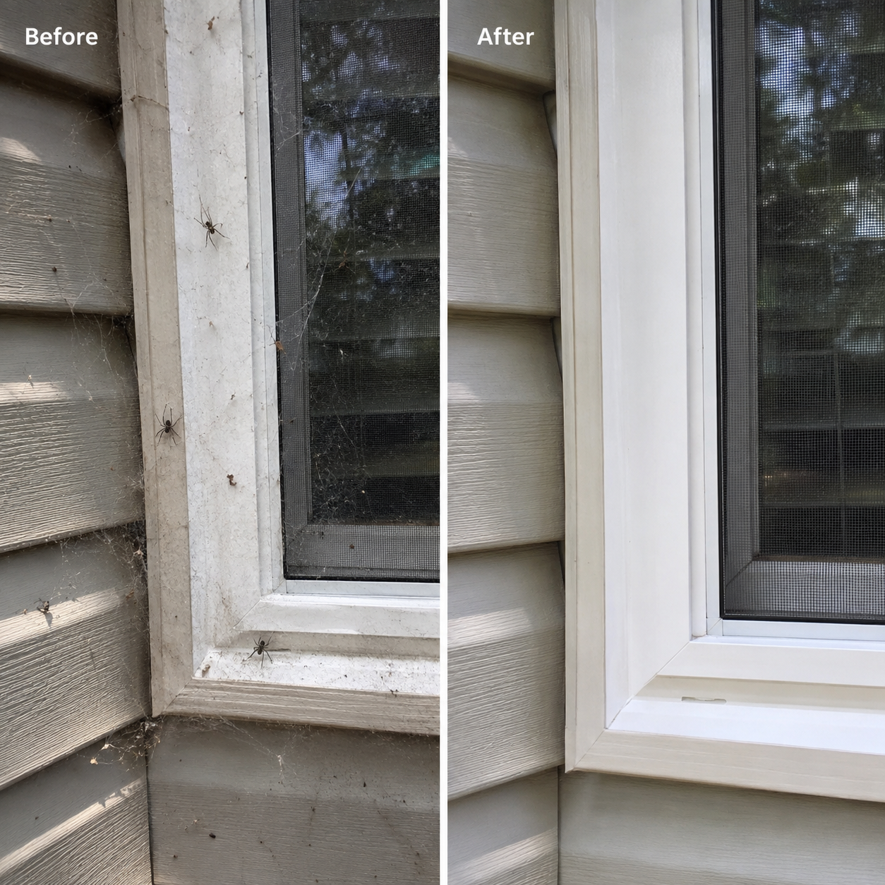 Before & After Images