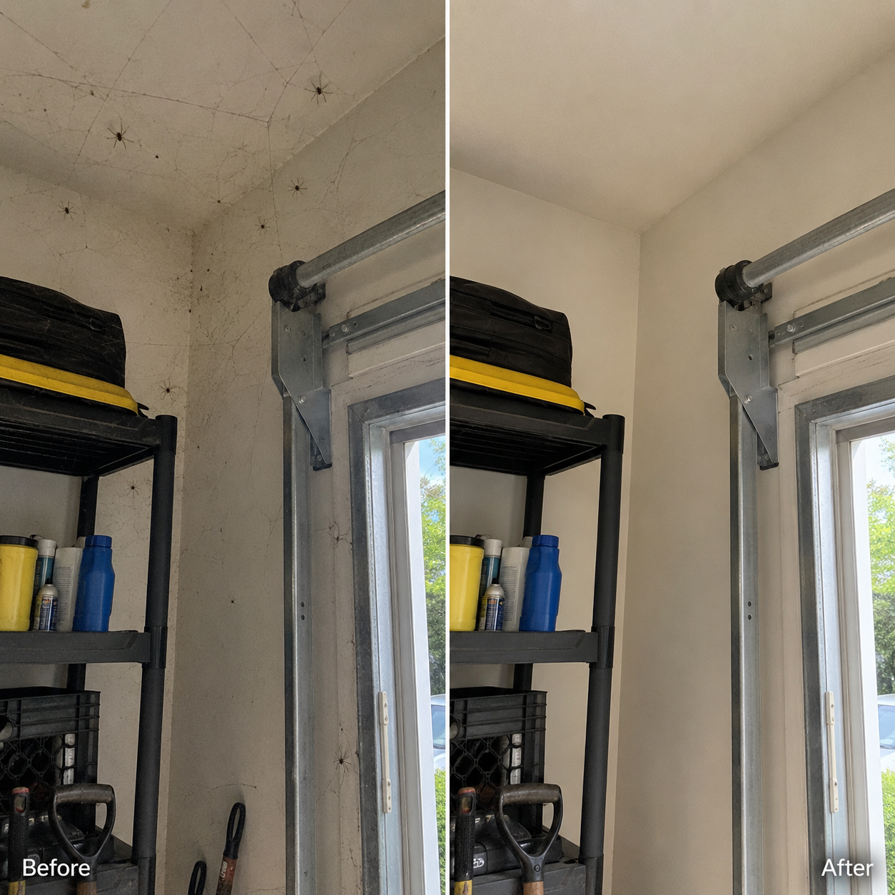 Before & After Images