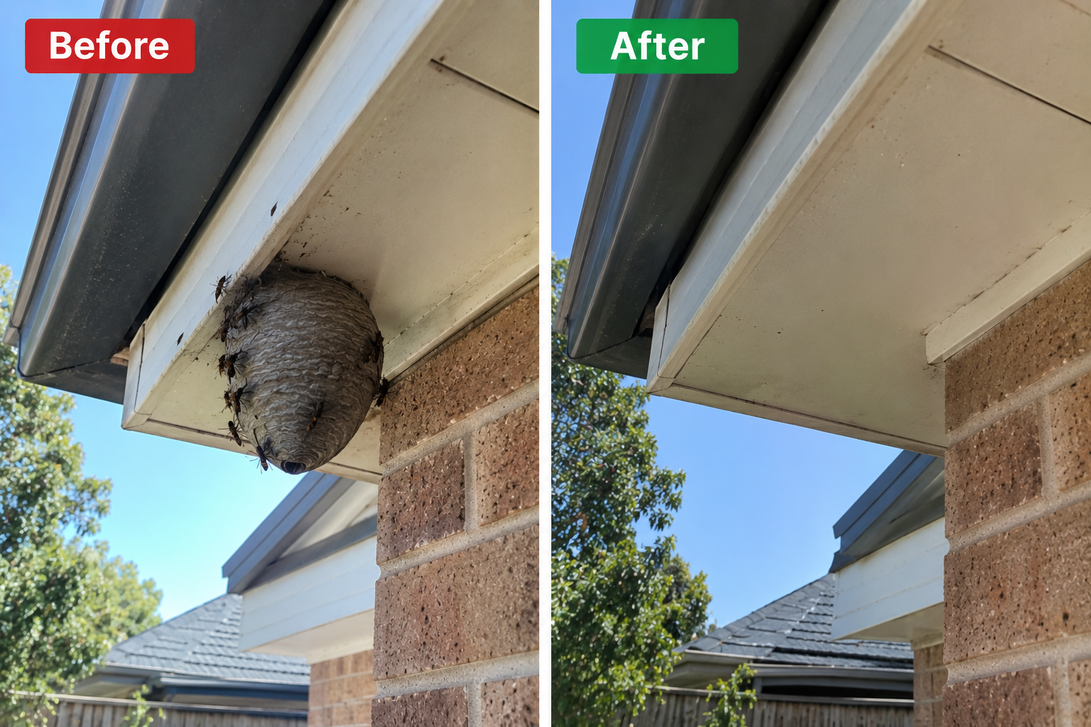 Before & After Images
