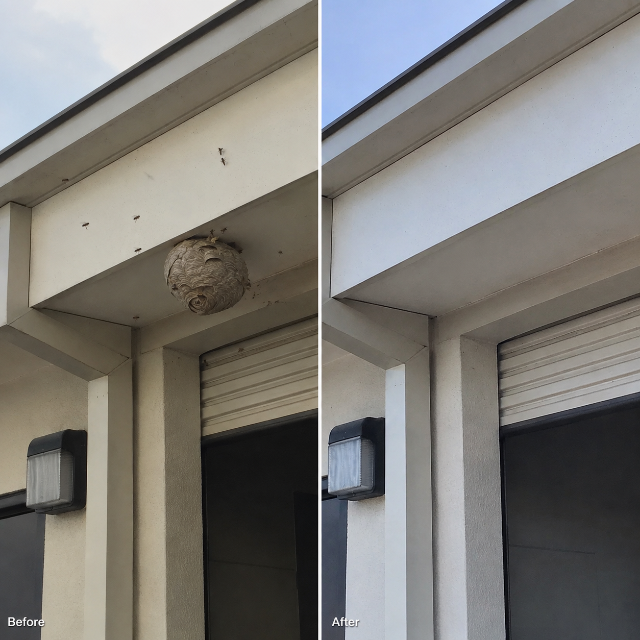 Before & After Images