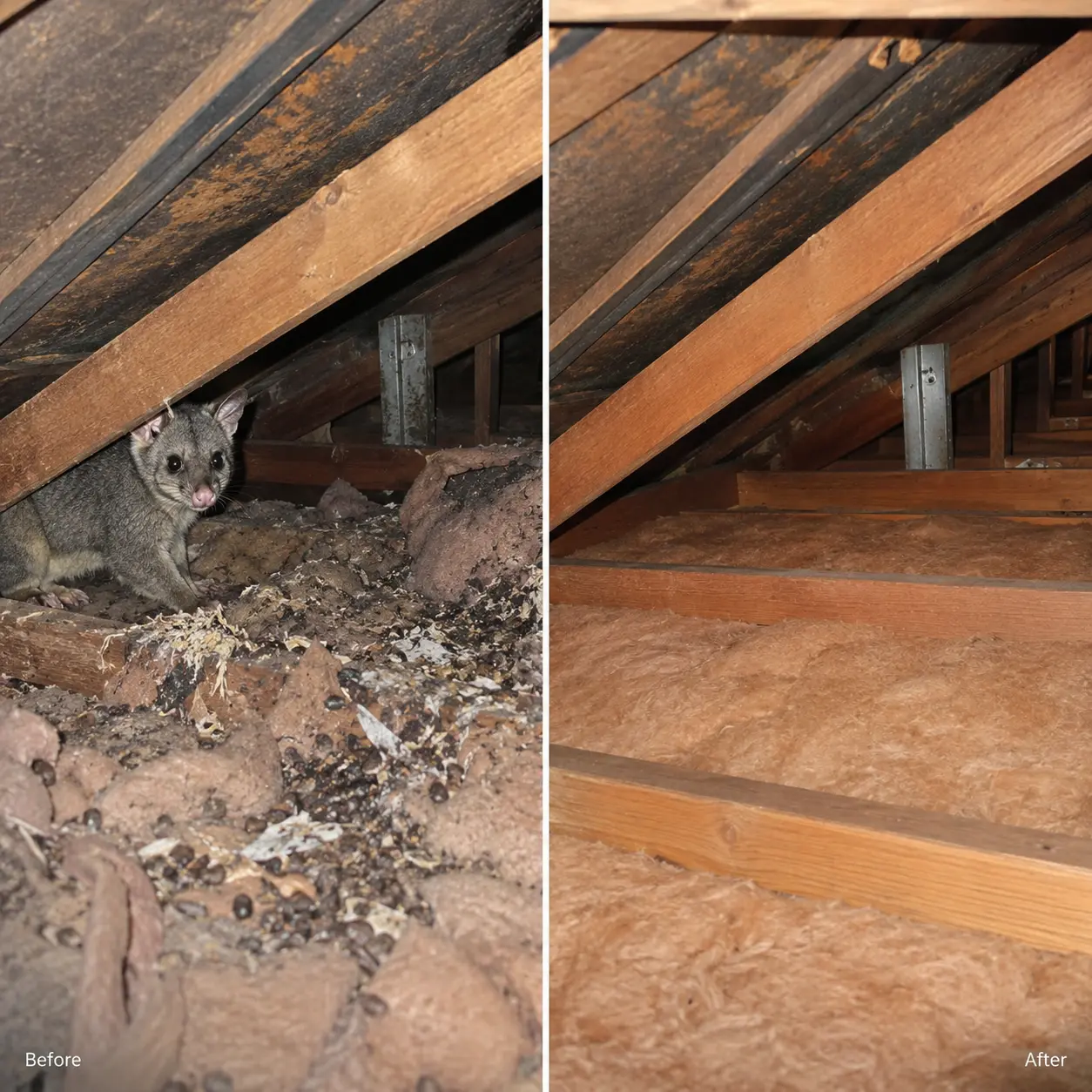 Before and after image