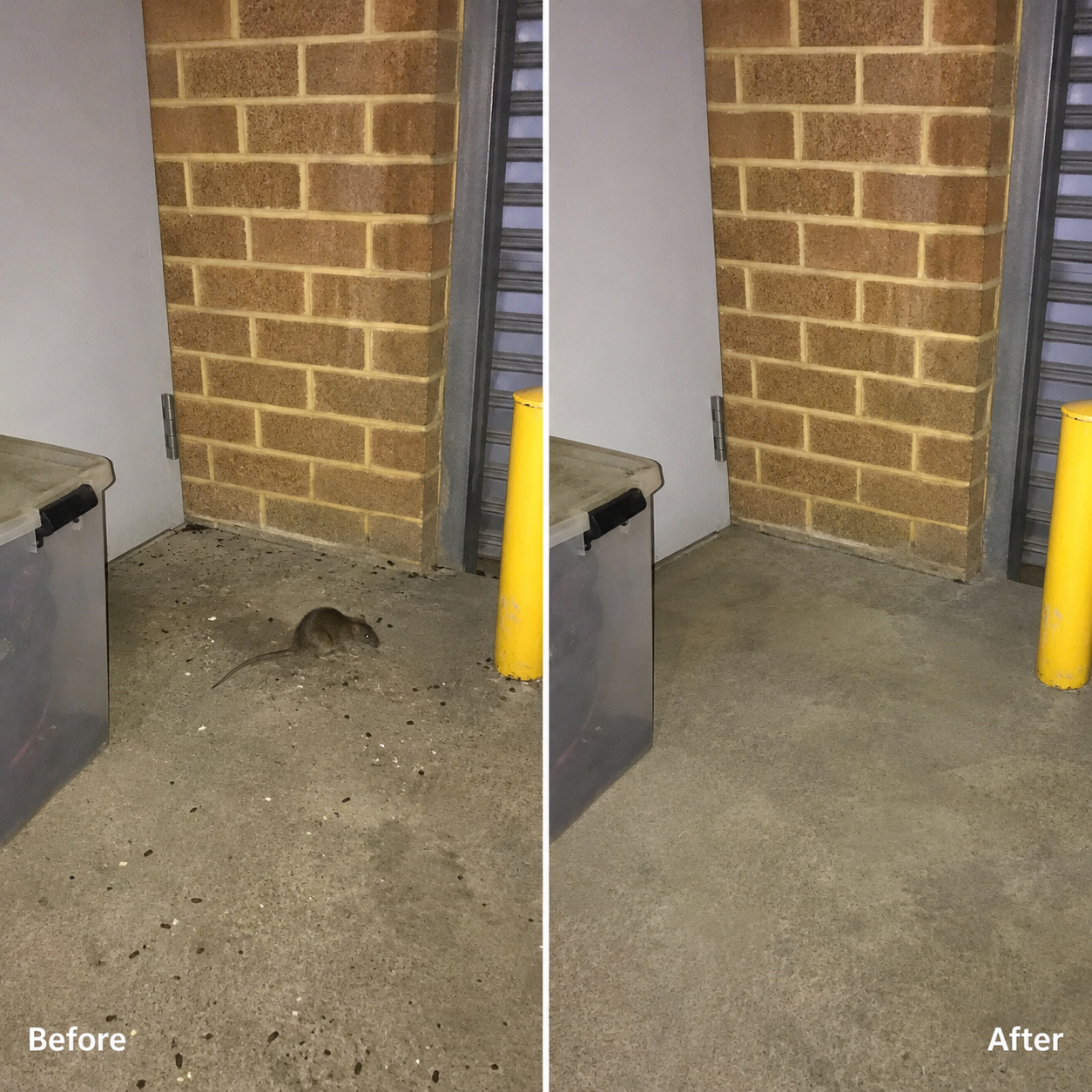 Before and after image